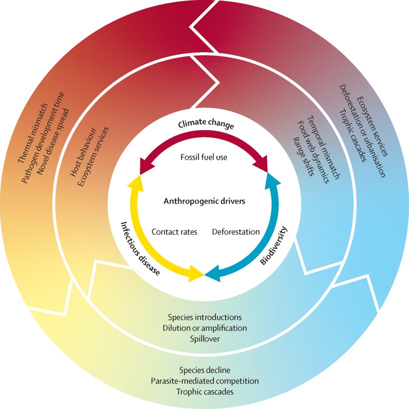 New paper on the “polycrisis” of infectious disease spread, biodiversity loss and climate&nbsp;change