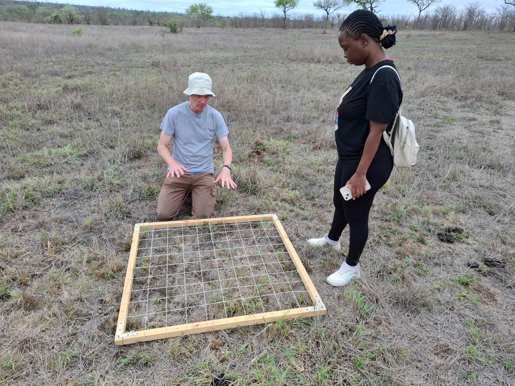 New research project exploring how pathogen infection influences  buffalo dietary&nbsp;choice